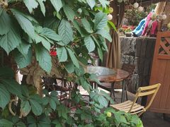 -鱼乐岛餐厅·户外花园主题餐厅