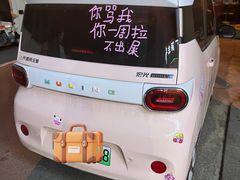 -黑钻车服·BOP保镖隐形车衣(新都心店)