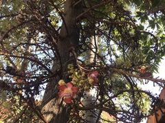 -曼谷素万那普国际机场