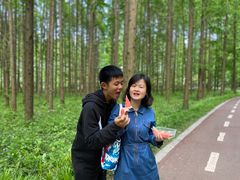 -黄海国家森林公园