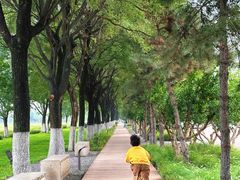 -汉长安城未央宫国家考古遗址公园