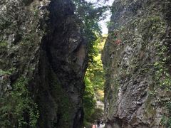 -夏霖九天银瀑风景区