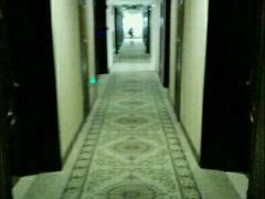 -维也纳国际酒店·上海虹桥火车站国家会展中心店