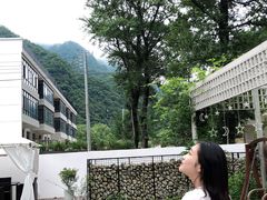 -牛背梁国家森林公园