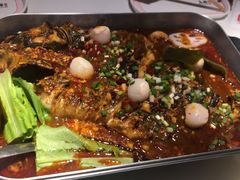 -鱼酷活鱼烤鱼(沈阳大悦城店)