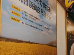 -老娘舅(吴淞路店)