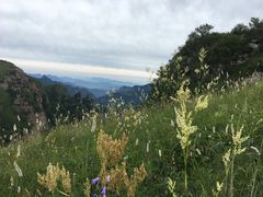 -灵山