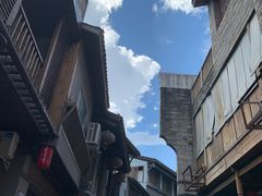-南山植物园