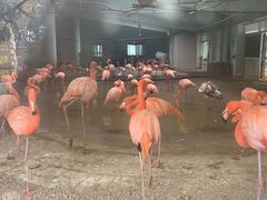 -石家庄市动物园