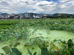 -五夫镇朱子家宴