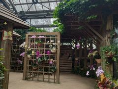 -南山植物园