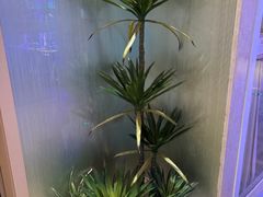 -新美姿美食水疗汇(罗湖口岸店)