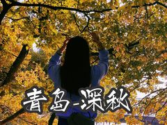 -八大关景区