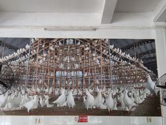 -皇鸽餐厅(龙塘店)