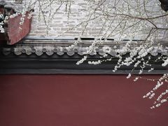 -雍和宫