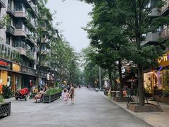 -泡桐树街