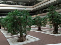 -南京禄口机场雅高铂尔曼大酒店