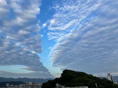 -福道