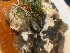 -至尊鲨鱼·原烹海鲜·新浙菜(拱宸桥店)