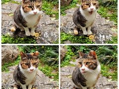 -静安公园(静安寺街道)