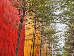 -佛山科学馆
