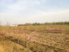 -汉长安城未央宫国家考古遗址公园