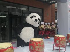 -宜乐荟