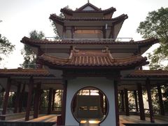 -深圳仙湖植物园