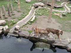 -上海野生动物园