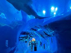 -迪拜水族馆及水下动物园