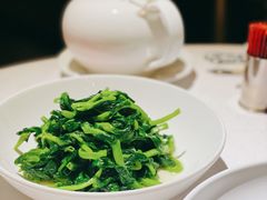 五粮液嫩豆苗-玫瑰厅上海菜(兴国路店)