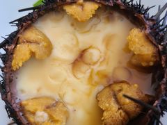 -海胆小馆(东北水饺·春柳店)