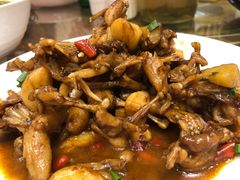 -金锅小厨(乐活街店)