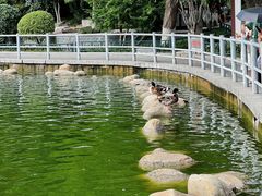 -莲湖公园