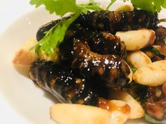 -外高桥喜来登酒店采悦轩