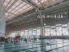-广西体育中心-游泳馆