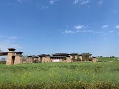 -空港花田景区