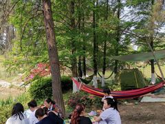 -铁山坪森林公园