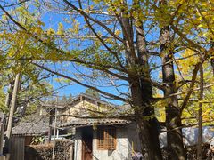 -腾冲国萍农家乐