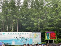 -五女峰国家森林公园