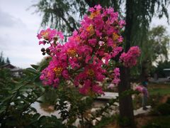 -威海华夏城景区