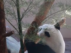 -宁波野生动物园