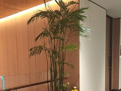 -连鹭海鲜·海肠捞饭·海胆饭(星海店)