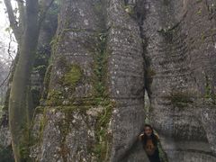 -山王坪喀斯特国家生态公园