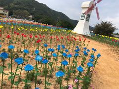 -玫瑰海岸文化旅游度假区