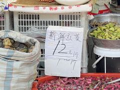 -葑门横街