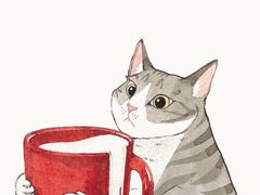 -猫咪咖啡·猫咖(万达广场店)