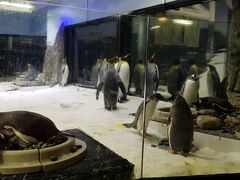 -悉尼海洋生物水族馆