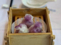 鲜肉海胆饺-南宁荔园维景国际酒店·荔园中餐厅
