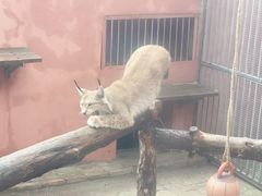 -青藏高原野生动物园